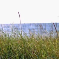 Ljugarns Semesterby & Camping