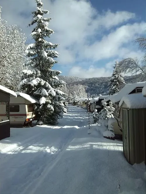 camping-vossmecke-winterbergniedersfeld-htjsb