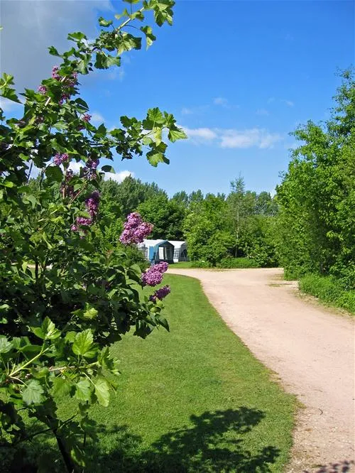 parkcamping-de-graafschap-hummelo-49345