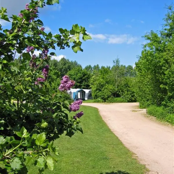 parkcamping-de-graafschap-hummelo-49345