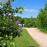 parkcamping-de-graafschap-hummelo-49345