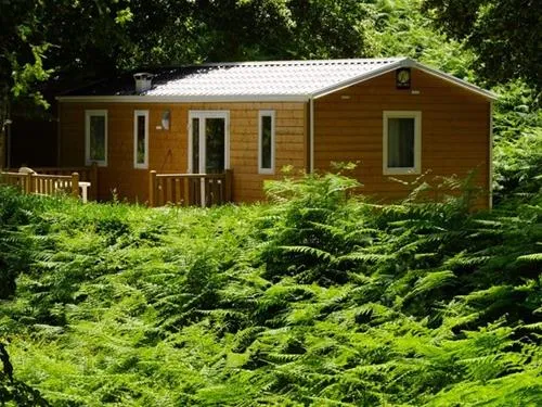 camping-lestap--albine-fybnc