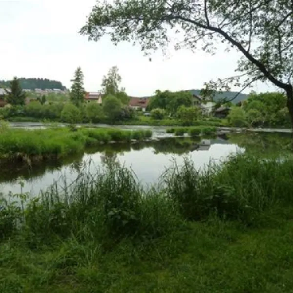 kanucamping-blaibach-blaibach-npbd0