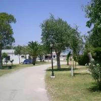 camping-tarifa-tarifa-1tflk