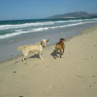 camping-tarifa-tarifa-b4url