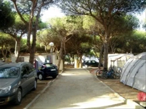camping-tarifa-tarifa-pfy3g