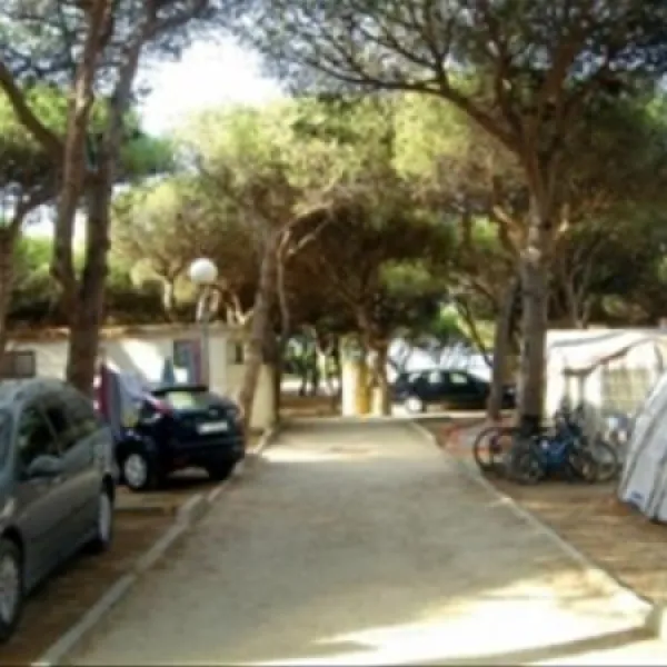 camping-tarifa-tarifa-pfy3g