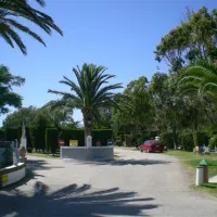 camping-tarifa-tarifa-xbf8n