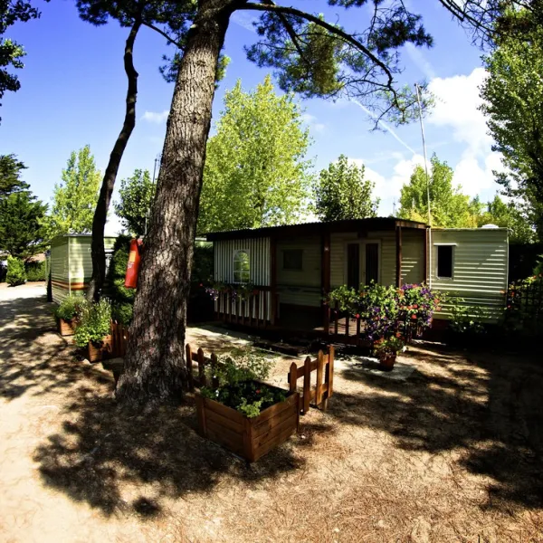 camping-le-marais-la-barre-de-monts-hhhba