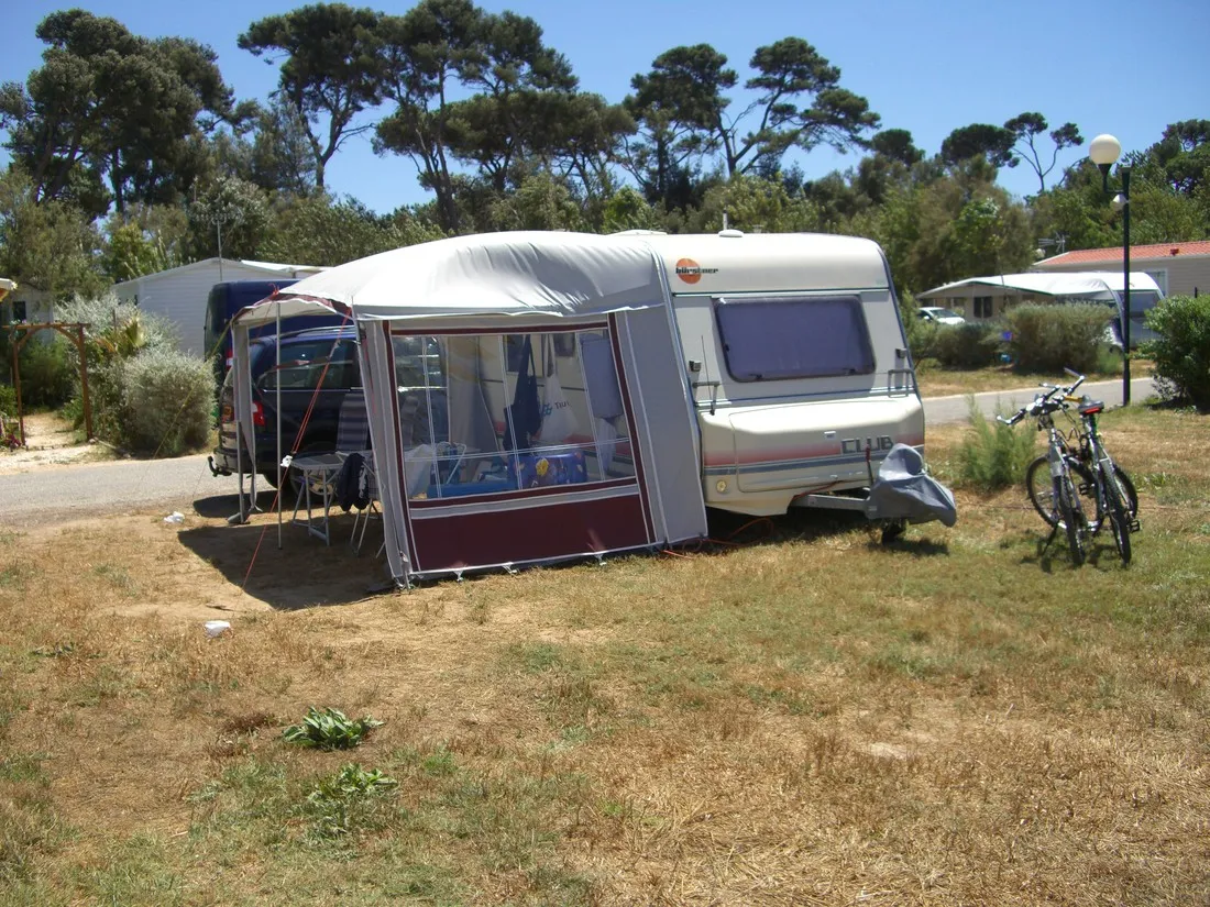 les-pins-maritimes-hyeres-nhpq7