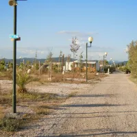 les-pins-maritimes-hyeres-ul8eu