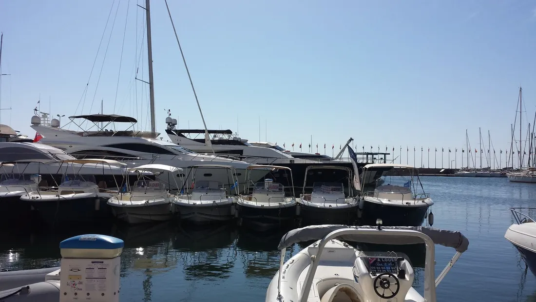 les-pins-maritimes-hyeres-uwerv