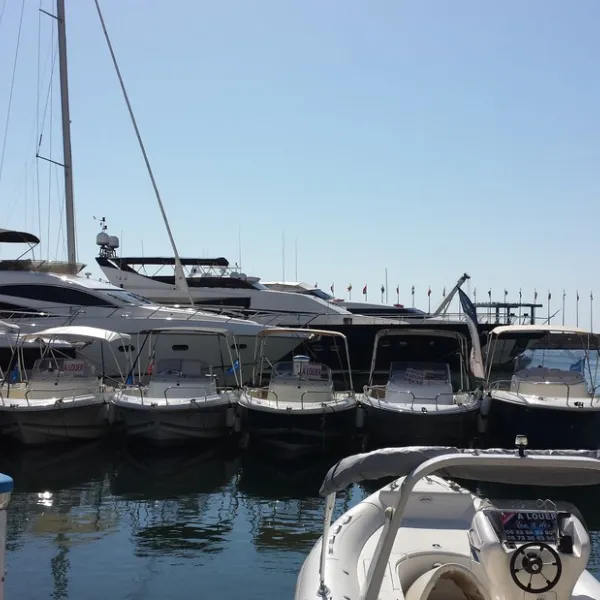 Les Pins Maritimes