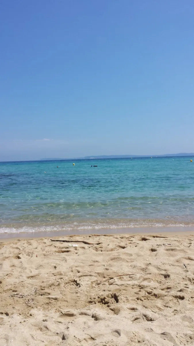 les-pins-maritimes-hyeres-yc3xl