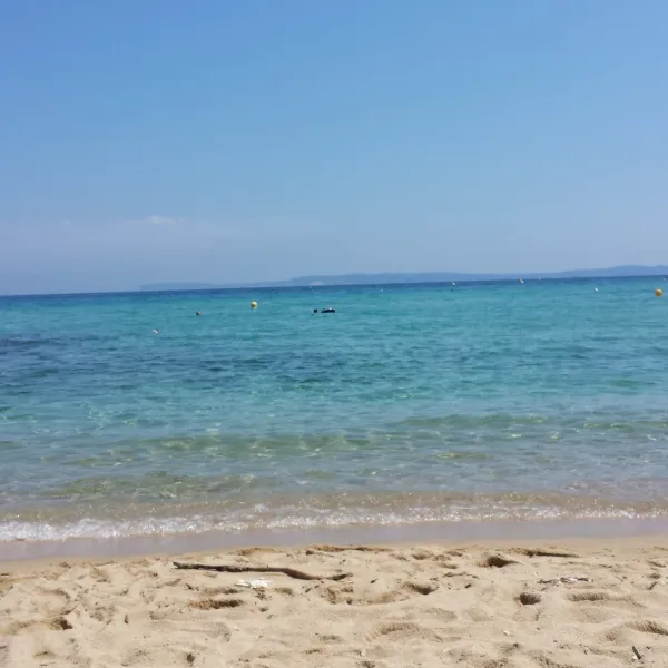 Les Pins Maritimes