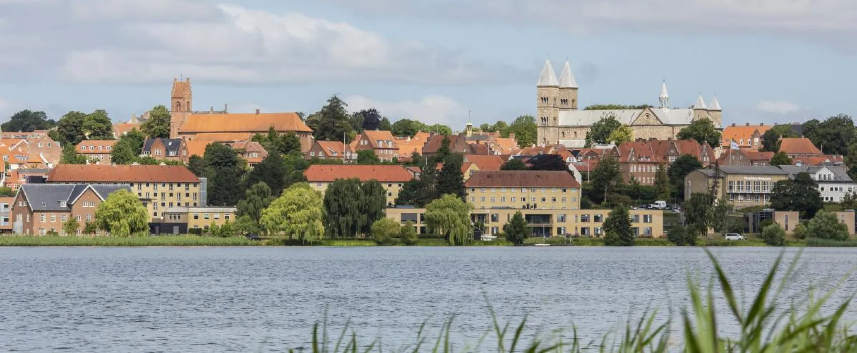 DCU Camping Viborg Sø