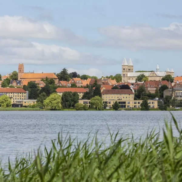 DCU Camping Viborg Sø