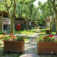 camping-bungalow-village-delle-rose-gatteo-mare-d0jmg