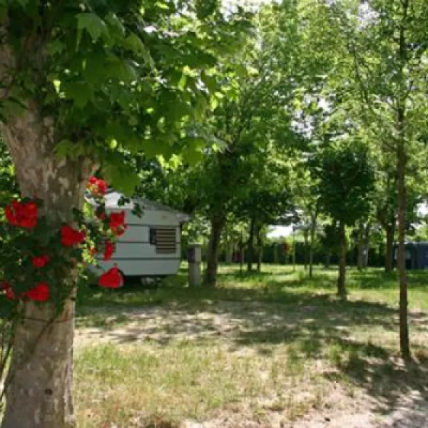 camping-bungalow-village-delle-rose-gatteo-mare-uenwg