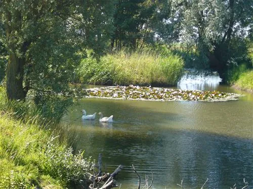 fairfields-farm-caravan-camping-park-pevensey-feid6