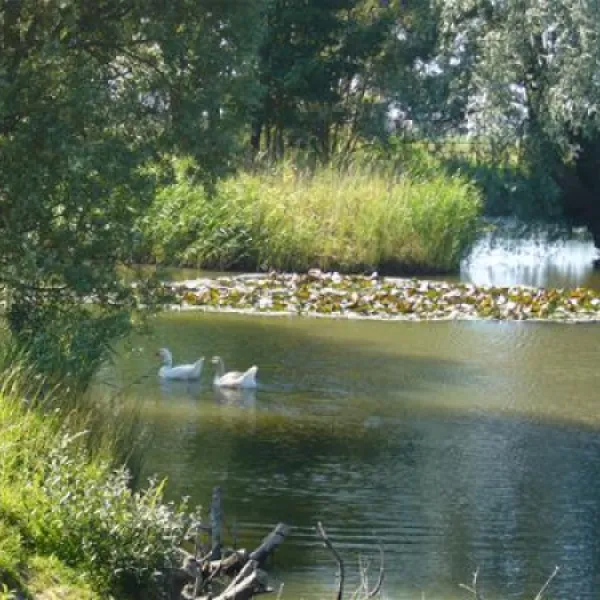 fairfields-farm-caravan-camping-park-pevensey-feid6