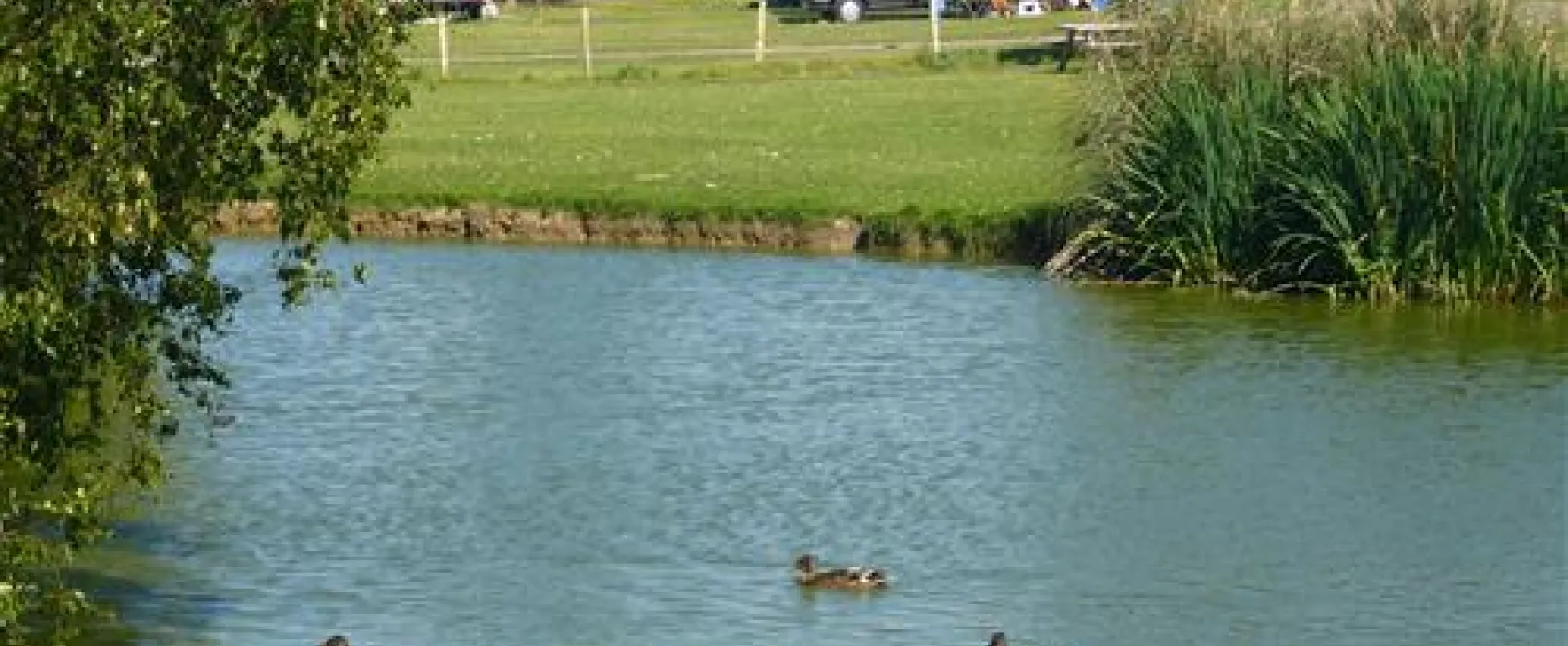 Fairfields Farm Caravan and Camping Park