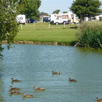 fairfields-farm-caravan-camping-park-pevensey-o9ppg