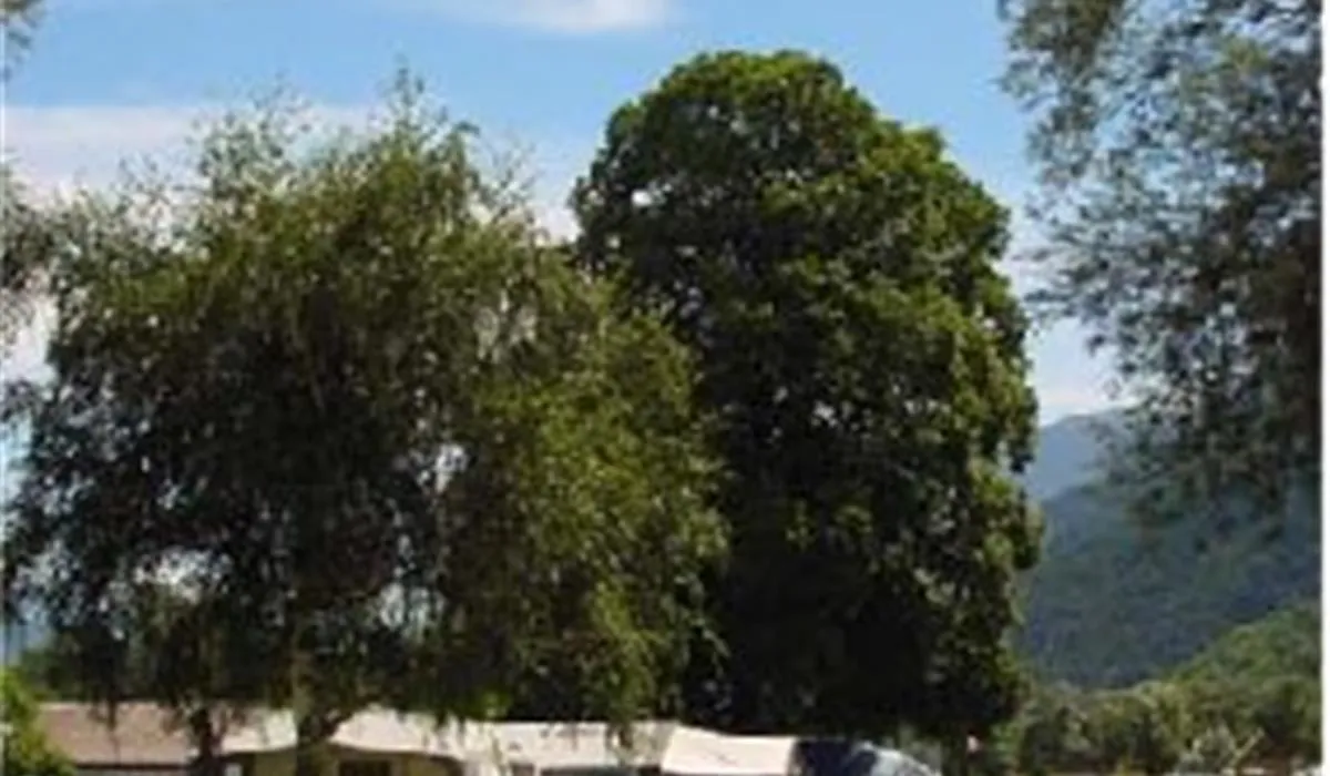 camping-santa-monica-raronturtig-voad9