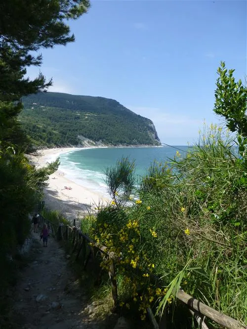 camping-internazionale-sirolo-c9qi1