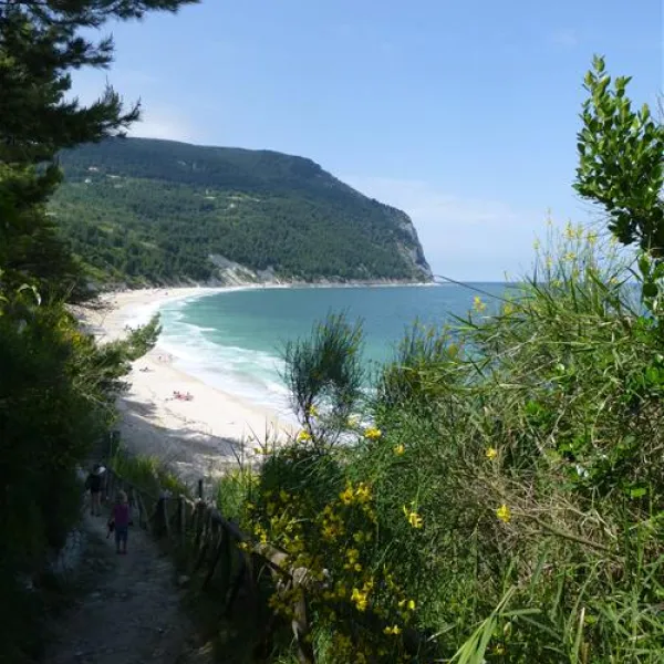 camping-internazionale-sirolo-c9qi1