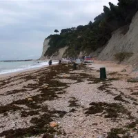camping-internazionale-sirolo-jgq2u