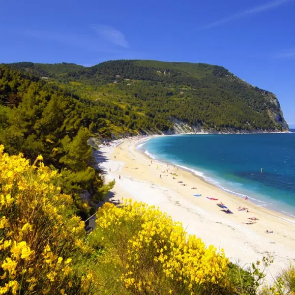 camping-internazionale-sirolo-wglma