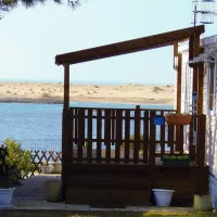 les-violettes-la-faute-sur-mer-9mkty