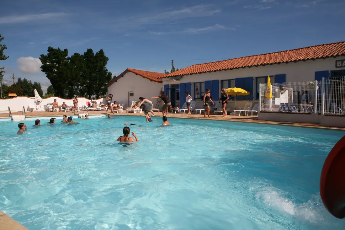 les-violettes-la-faute-sur-mer-iaoh0
