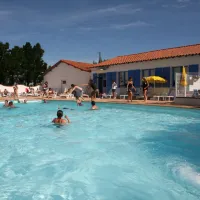 les-violettes-la-faute-sur-mer-iaoh0