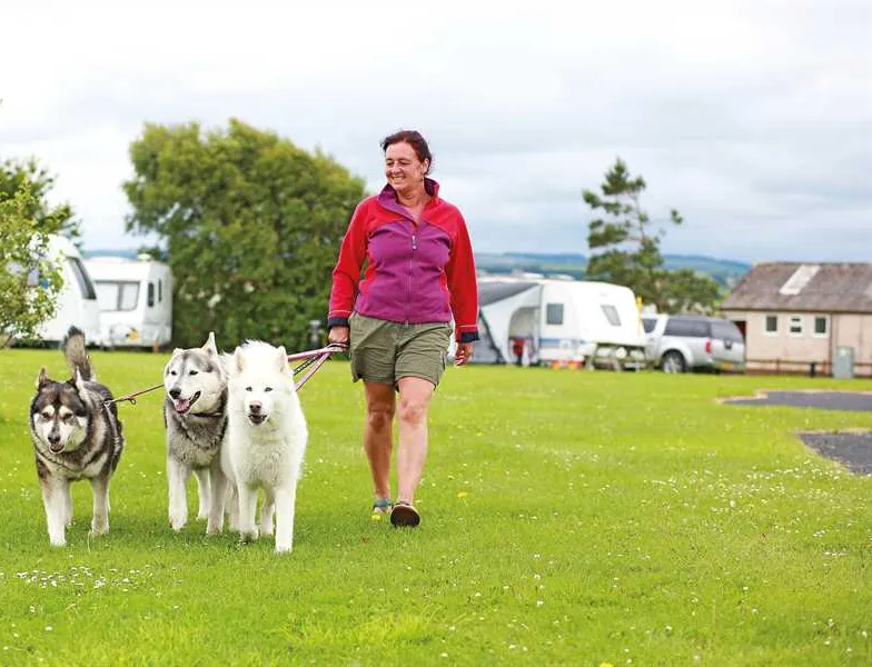 manor-house-caravan-park-maryport-dbwug
