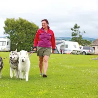 manor-house-caravan-park-maryport-dbwug