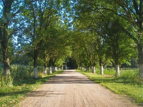 campsite-mir-mir-mxkkz