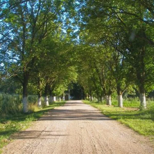 campsite-mir-mir-mxkkz