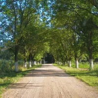 Campsite Mir