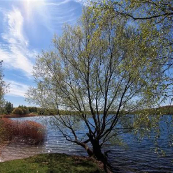 camping-am-kulkwitzer-see-leipzig-rjero