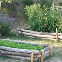 camping-falterona-stia-awwjl
