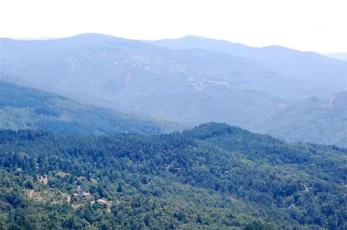 camping-falterona-stia-ewmxo