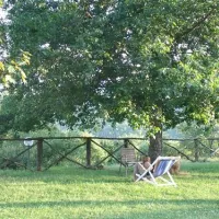 camping-falterona-stia-hm5pa