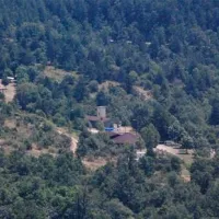 camping-falterona-stia-izfdc