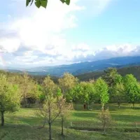 camping-falterona-stia-kqkx4