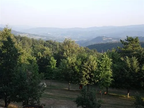 camping-falterona-stia-mab8d