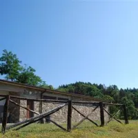 camping-falterona-stia-rzxpj