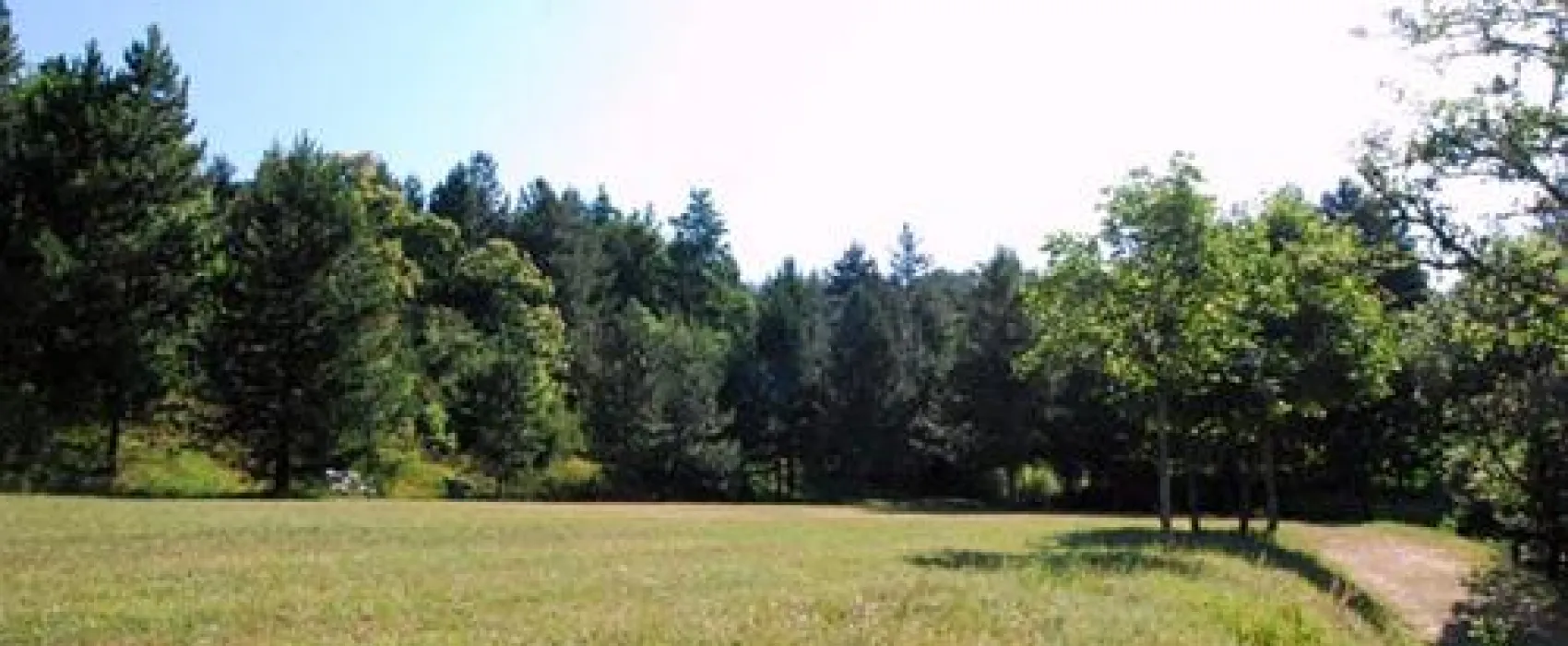 Camping Falterona