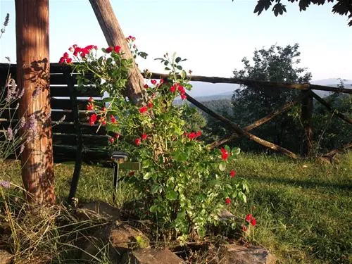camping-falterona-stia-yogxv